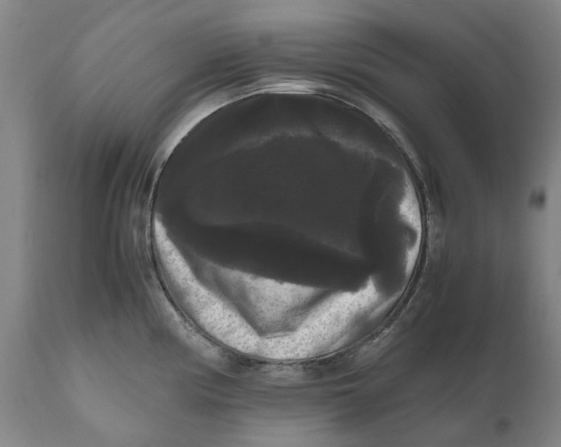 X0000111121194200907211043