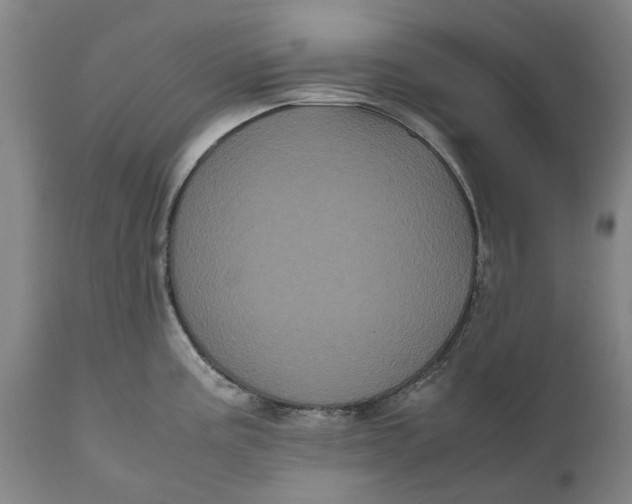 X0000111121195200907211043