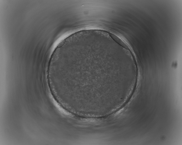 X0000111121197200907211043