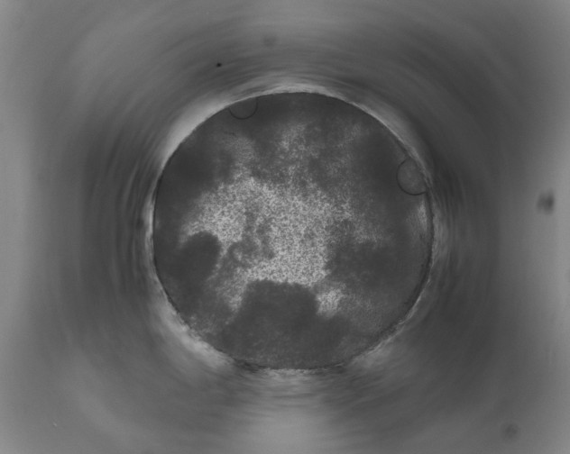 X0000111121198200907211043