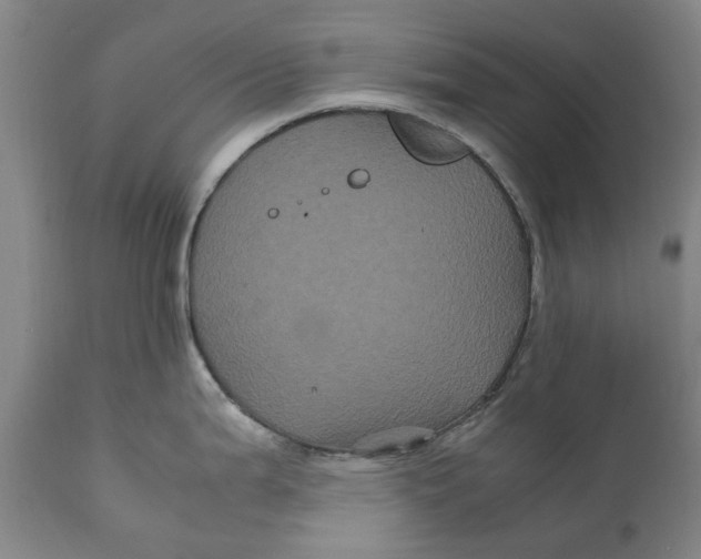 X0000111121199200907211043