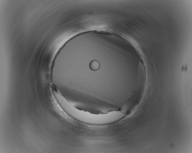 X0000111121200200907211043