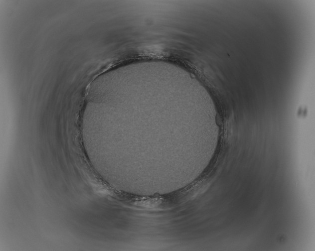 X0000111121201200907211042