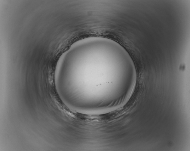 X0000111121202200907211042