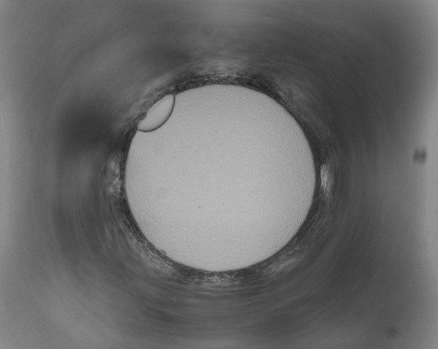 X0000111121203200907211042