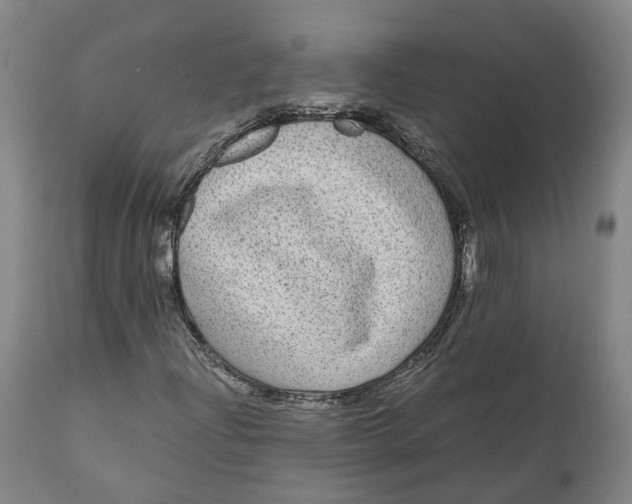 X0000111121204200907211042