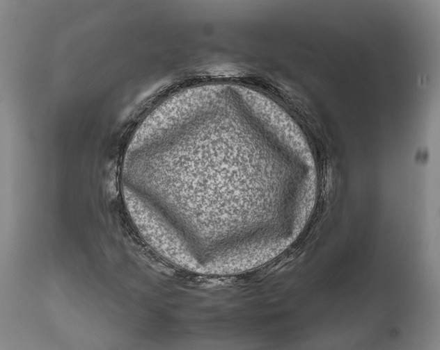 X0000111121205200907211042