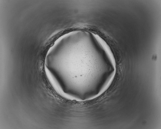 X0000111121206200907211042