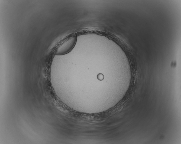 X0000111121207200907211042