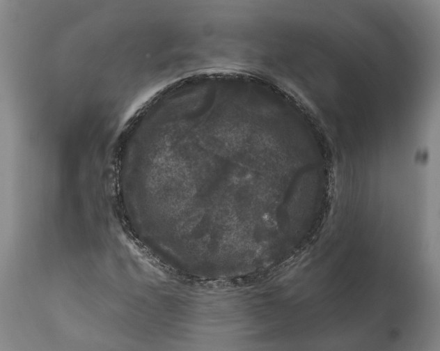 X0000111121208200907211042