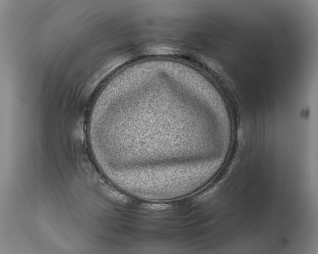 X0000111121209200907211042