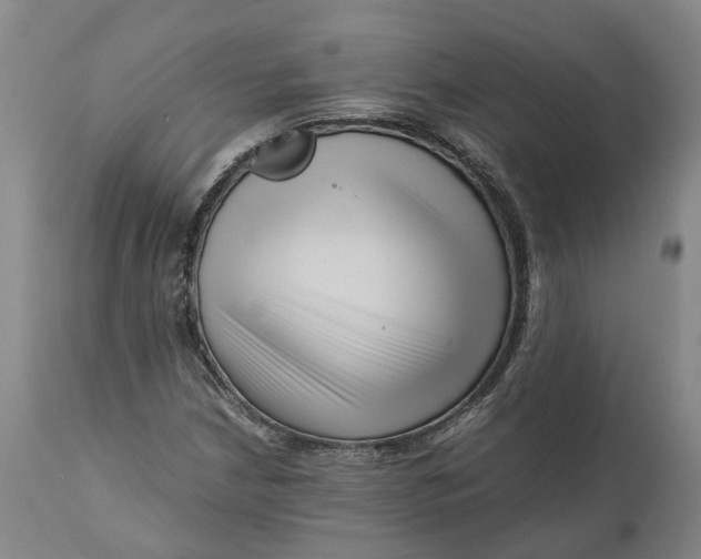 X0000111121210200907211042