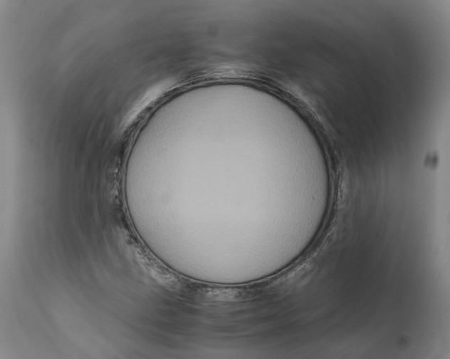 X0000111121211200907211042