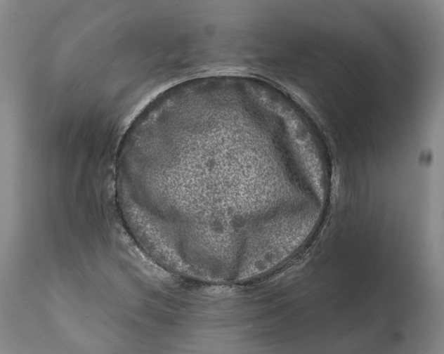 X0000111121212200907211042