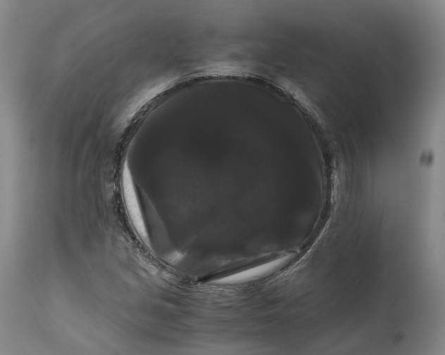 X0000111121213200907211042