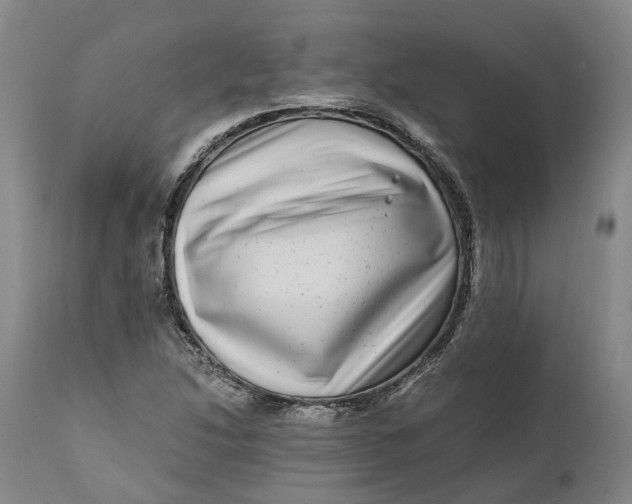 X0000111121214200907211042