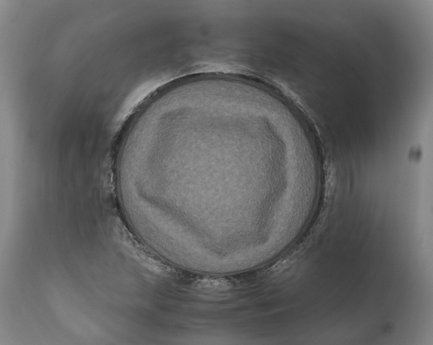 X0000111121215200907211042