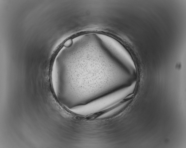 X0000111121216200907211042