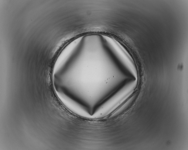 X0000111121218200907211042