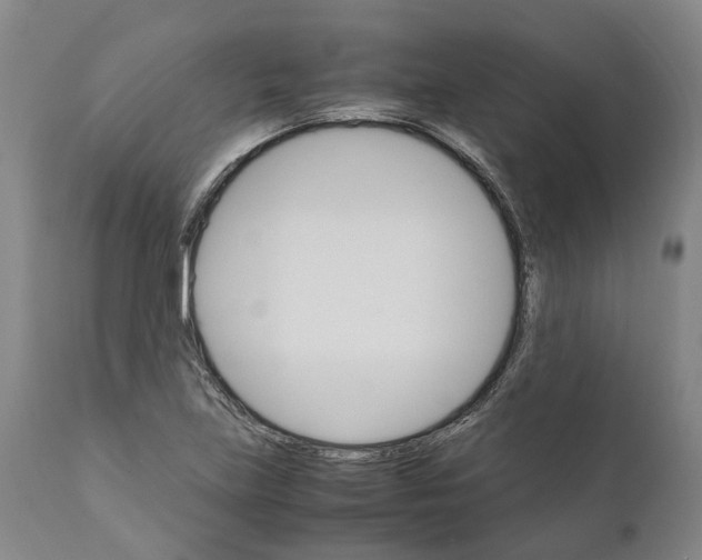 X0000111121219200907211042