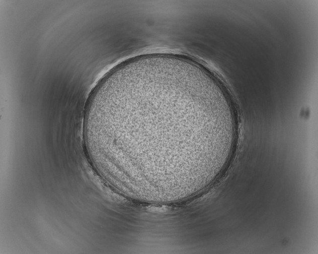 X0000111121220200907211042