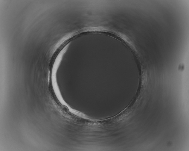 X0000111121221200907211042