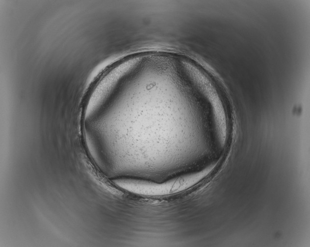 X0000111121222200907211042