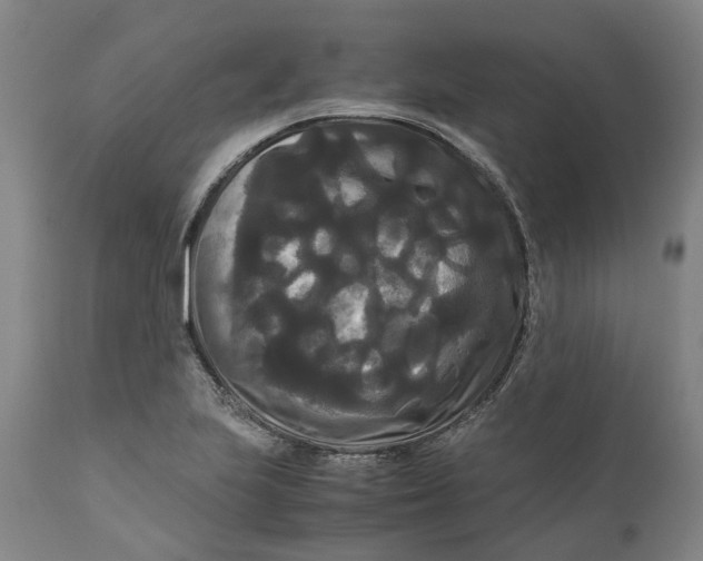 X0000111121223200907211042