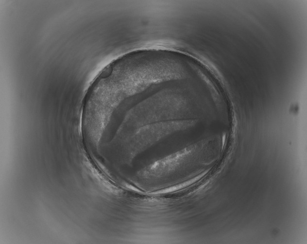 X0000111121224200907211042