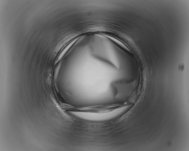 X0000111121225200907211042