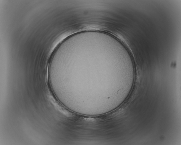 X0000111121227200907211042