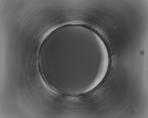 X0000111121229200907211042