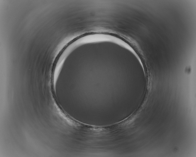 X0000111121231200907211042