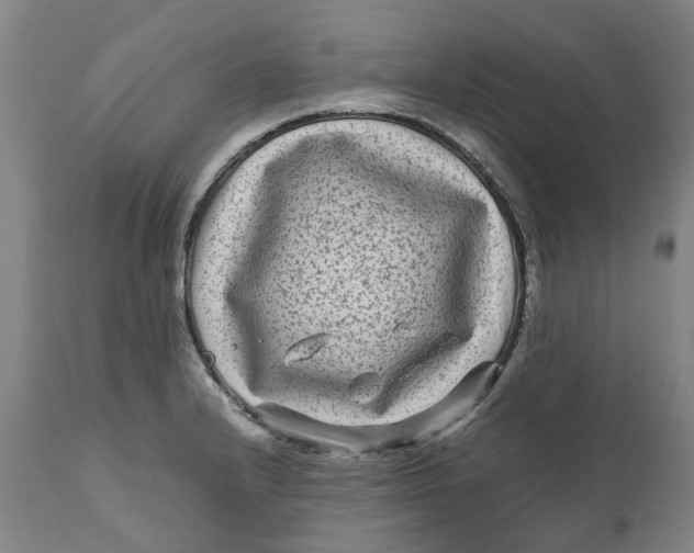 X0000111121232200907211042