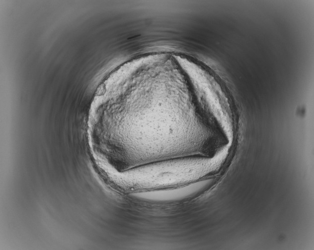 X0000111121233200907211042