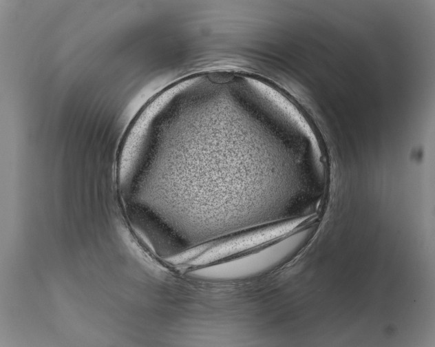 X0000111121234200907211042