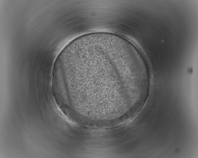 X0000111121236200907211042