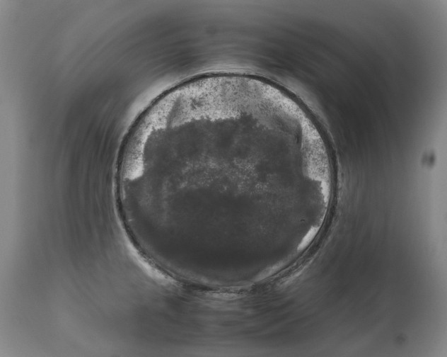 X0000111121237200907211042