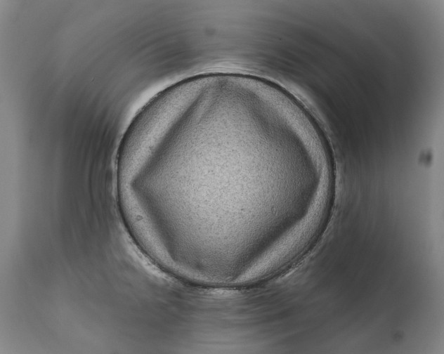 X0000111121238200907211042