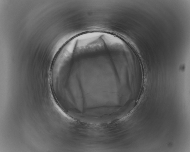 X0000111121239200907211042