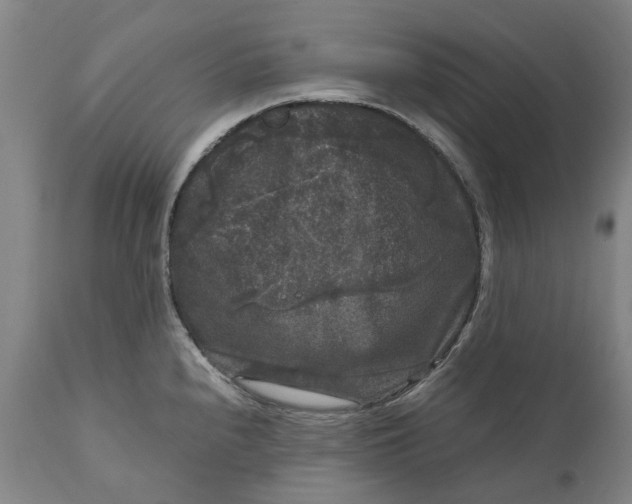 X0000111121240200907211042