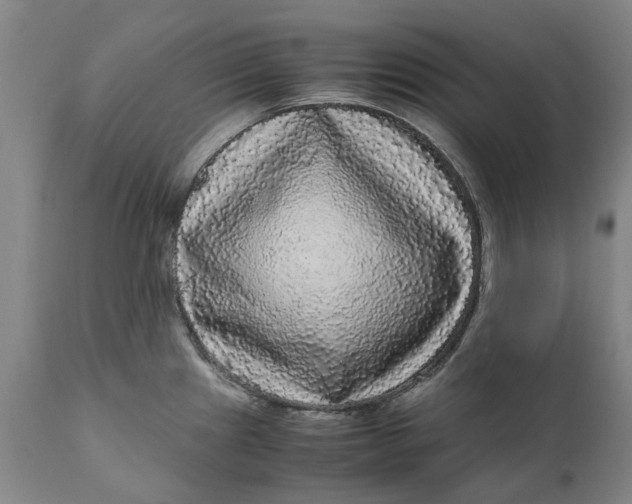 X0000111121241200907211042