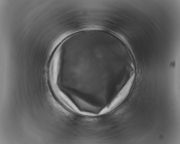 X0000111121243200907211042