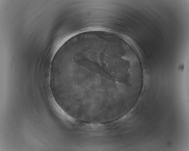 X0000111121244200907211042