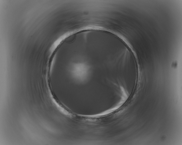 X0000111121245200907211043