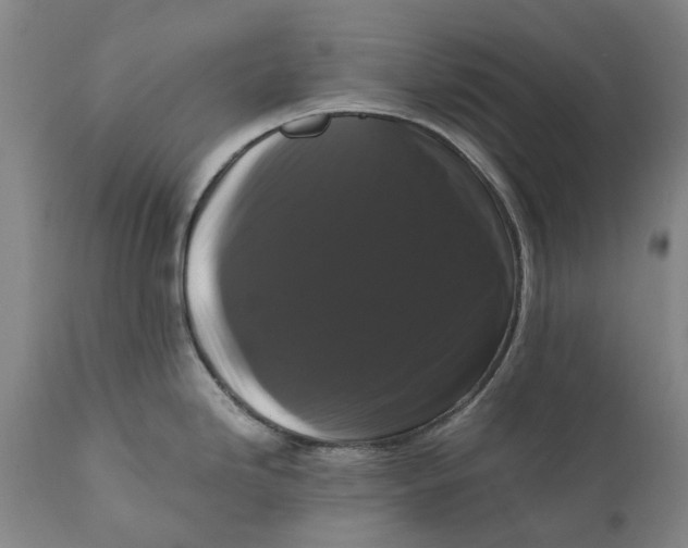 X0000111121246200907211043