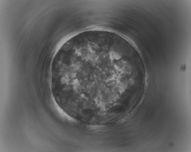 X0000111121247200907211043