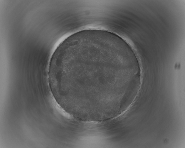 X0000111121248200907211043