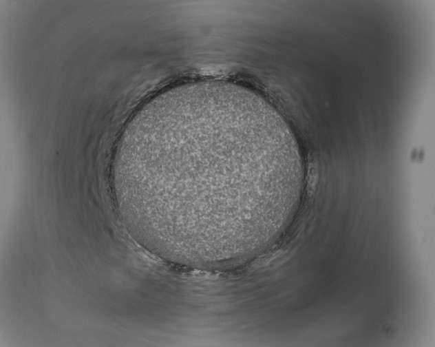 X0000111121249200907211042