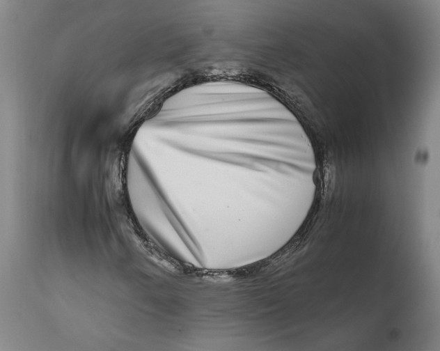 X0000111121250200907211042